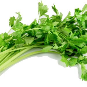 Celery / ขึ้นฉ่าย