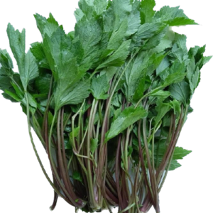White Mugwort / จิงจูฉ่าย