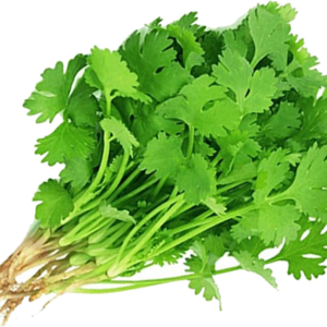 Chinese coriander / ผักชีจีน