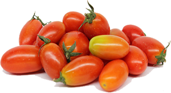 Cherry Tomato / มะเขือเทศราชินี