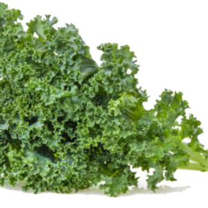 Kale / เคล
