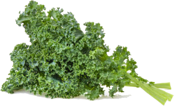 Kale / เคล