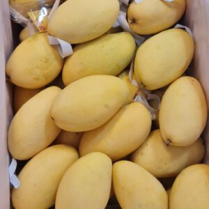 Nam Dok Mai Mango / มะม่วงน้ำดอกไม้