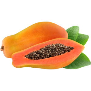 Holland Papaya / มะละกอฮอลแลนด์