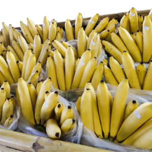 Golden Banana / กล้วยหอมทอง