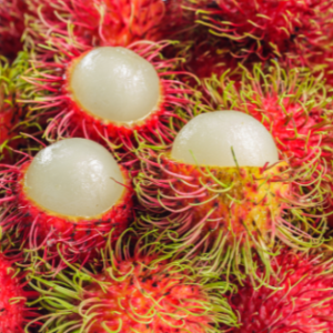 Rambutan / เงาะ