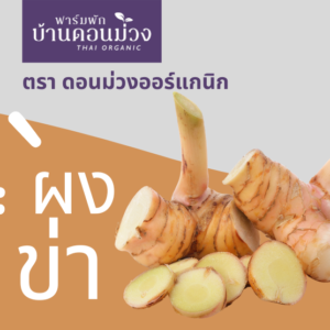 ผงข่า / Galanga Powder