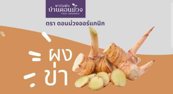 ผงข่า / Galanga Powder