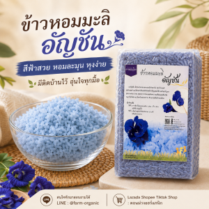 ข้าวหอมมะลิ อัญชัน